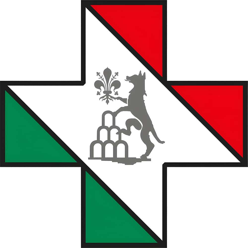 Logo: a bold cross with red and green triangular panels and a black outline, center features a gray heraldic lion and fleur-de-lis motif